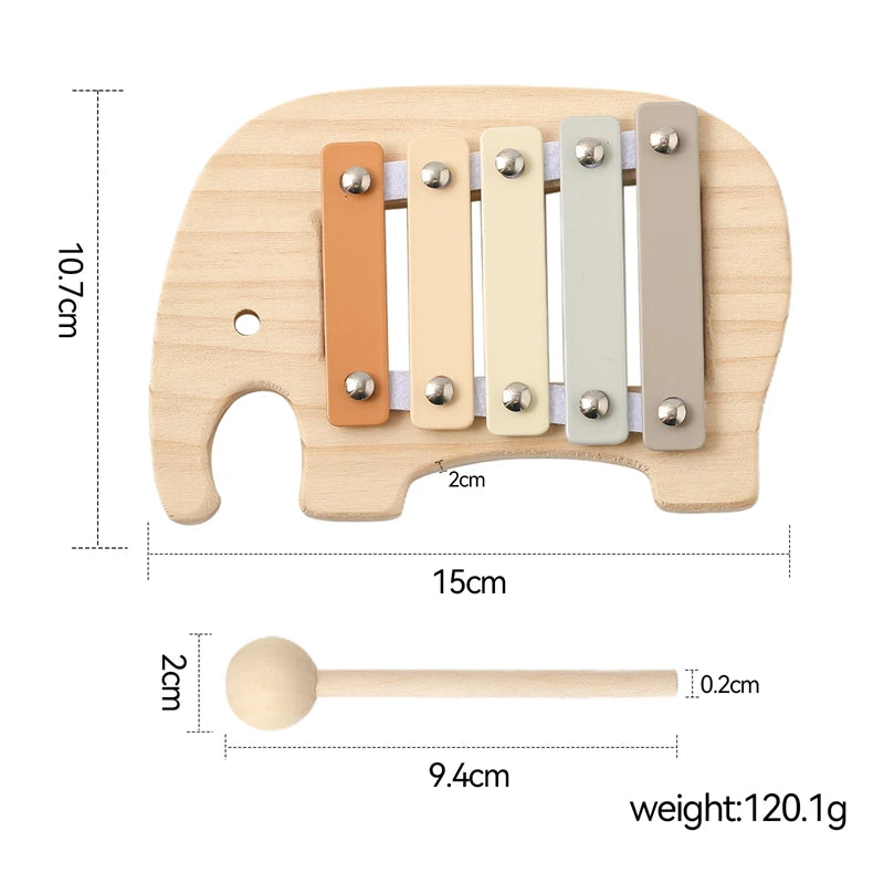 Musical Learning Toy