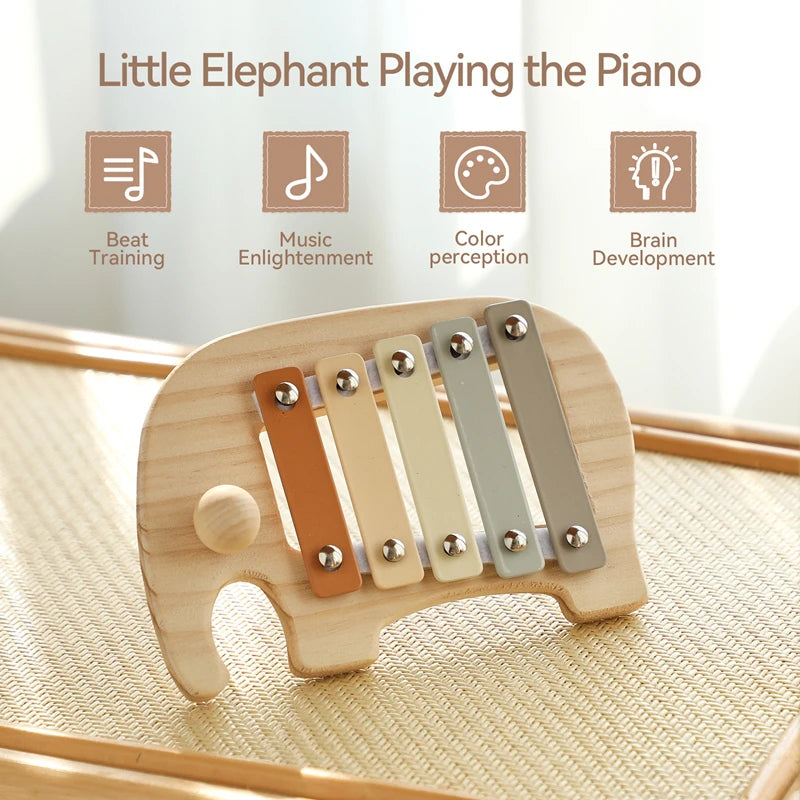 Musical Learning Toy