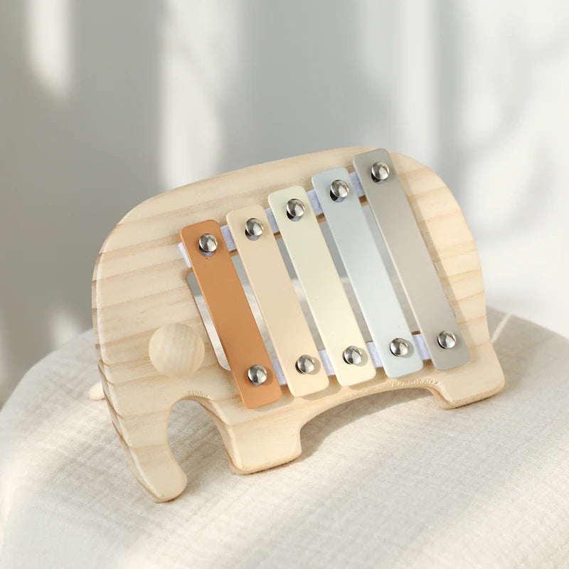 Musical Learning Toy
