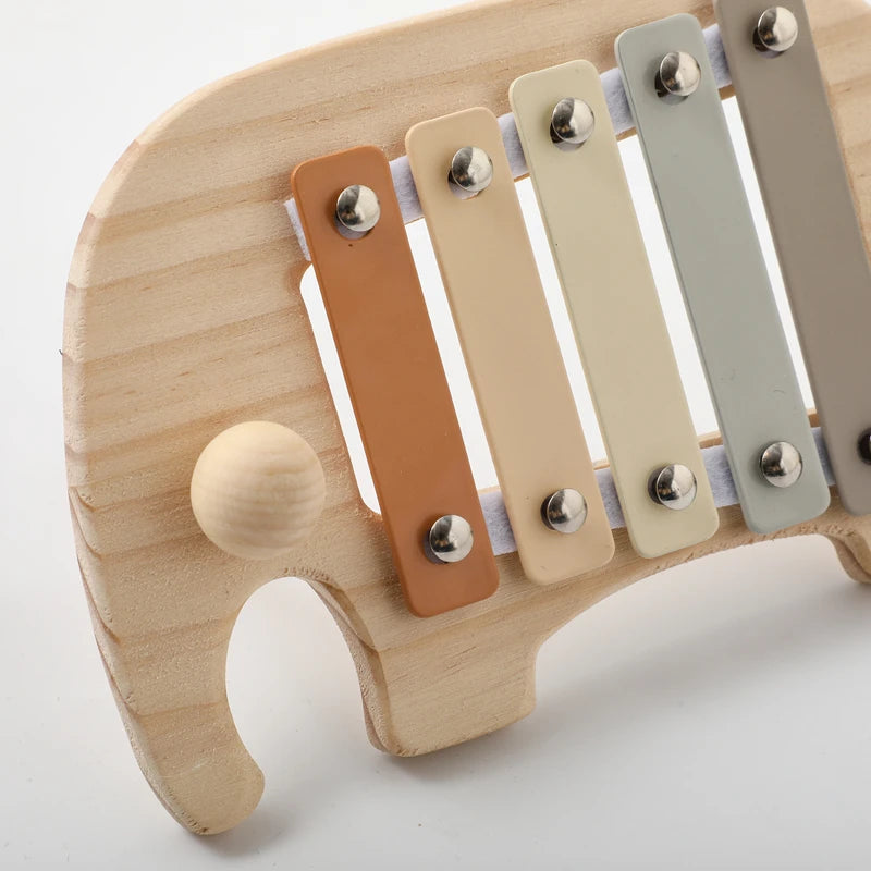 Musical Learning Toy