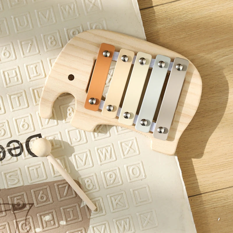 Musical Learning Toy