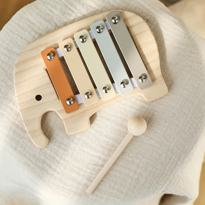 Musical Learning Toy