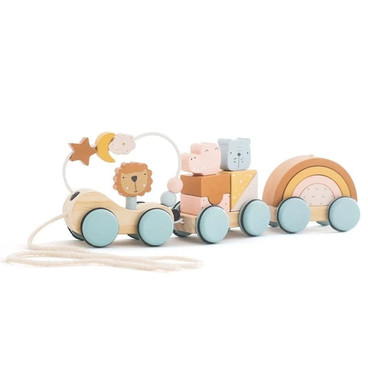 Toys Animal & Train Building Block