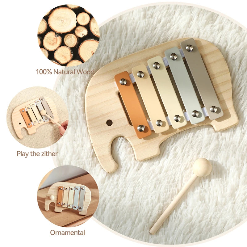 Musical Learning Toy