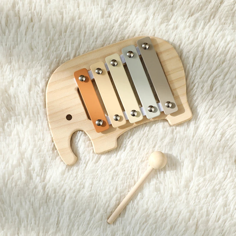 Musical Learning Toy