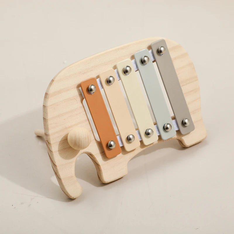 Musical Learning Toy