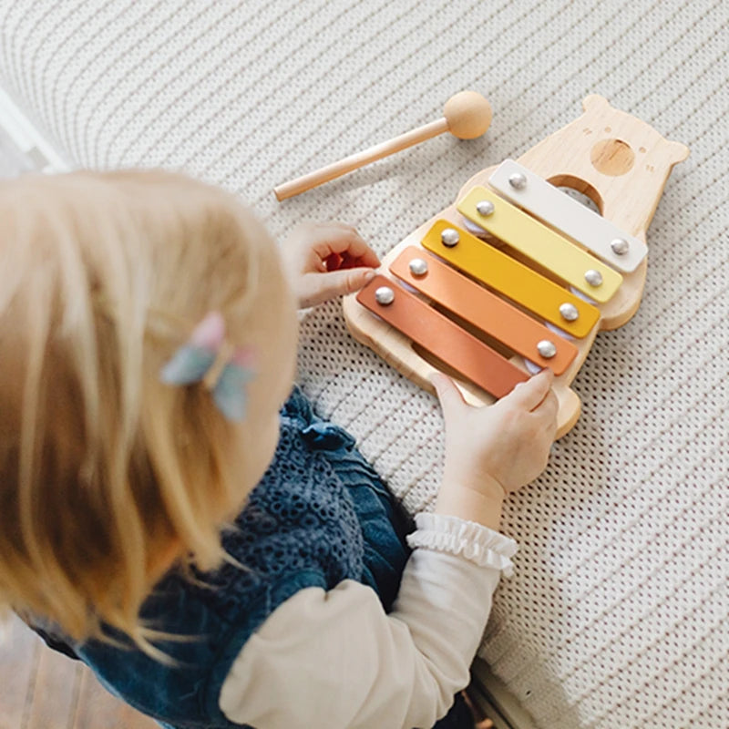 Musical Learning Toy