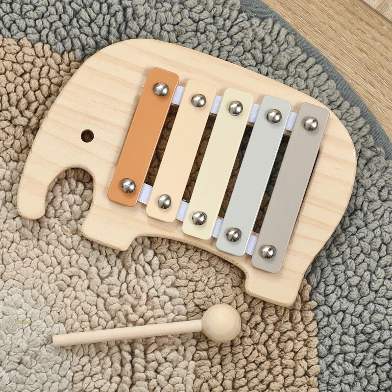 Musical Learning Toy