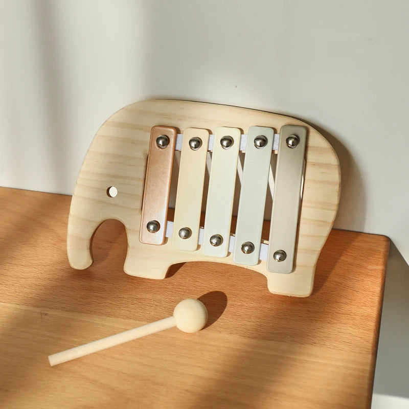 Musical Learning Toy