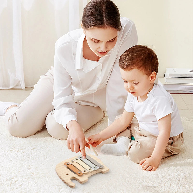 Musical Learning Toy