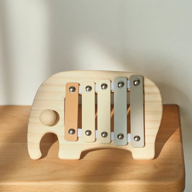 Musical Learning Toy