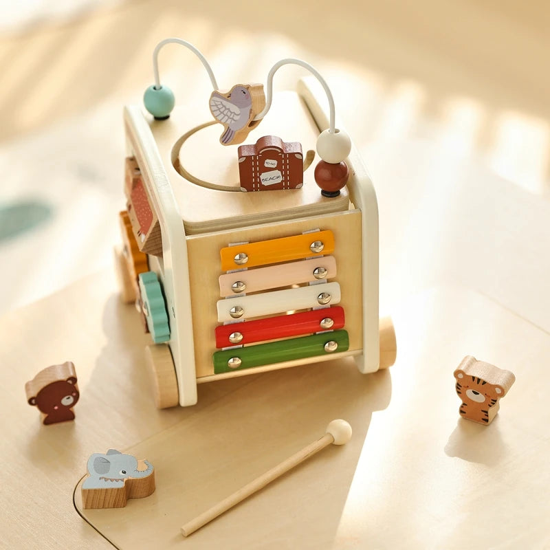 Little Genius Ride